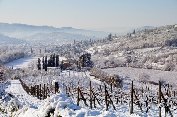 Arezzo Snow 3
