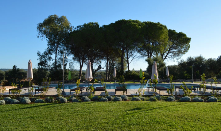 Masseria-gialli