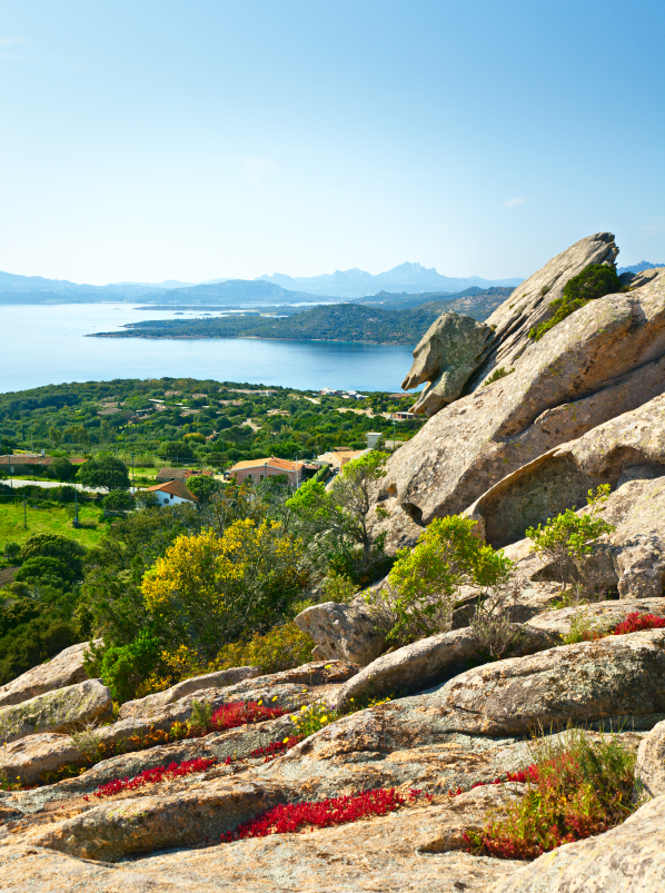 Spring in Sardinia