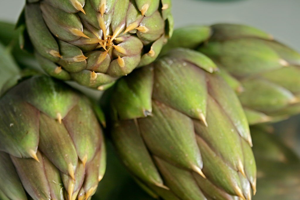 Sardinia’s Artichoke Festival returns in March Essential Blog