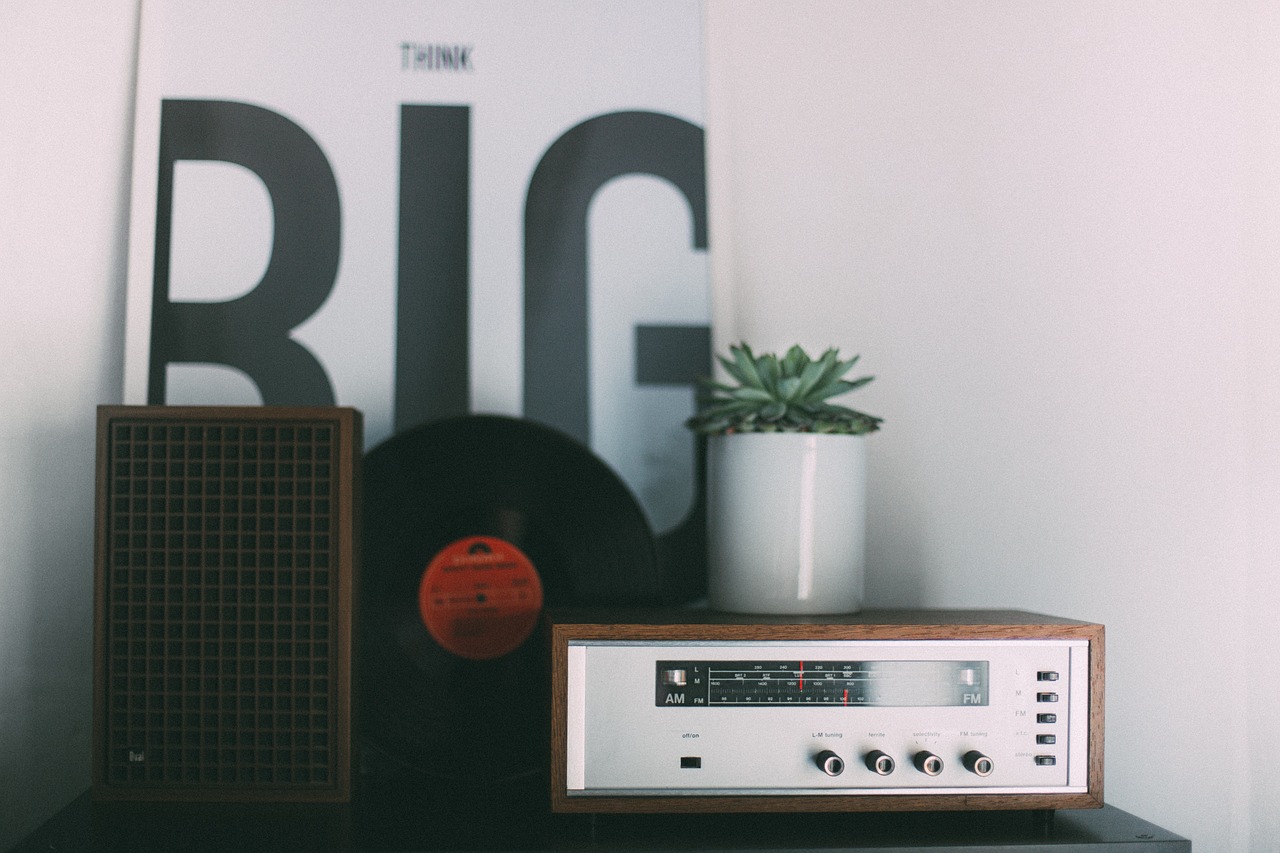 A radio with a plant and record