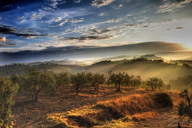 Hills and vineyard countryside scene in Tuscany – another reason to visit with Essential Italy