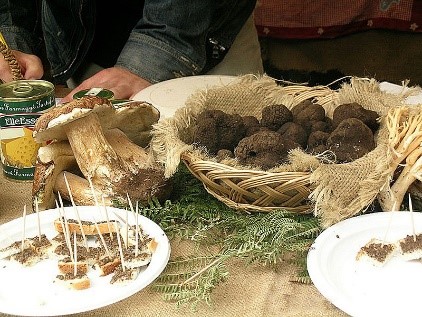 An authentic sagra in Italy near our villas with pools