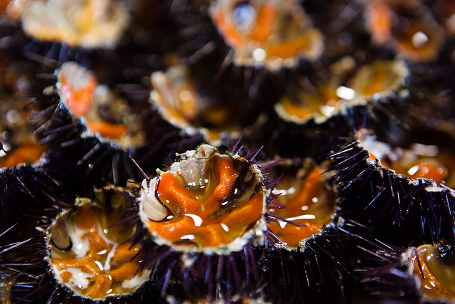 Visit the Sarga del Bogamari sea urchin festival near our luxury villas in Sardinia