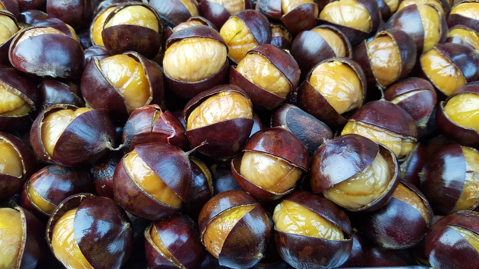 Roasted chestnuts found in Puglia in autumn