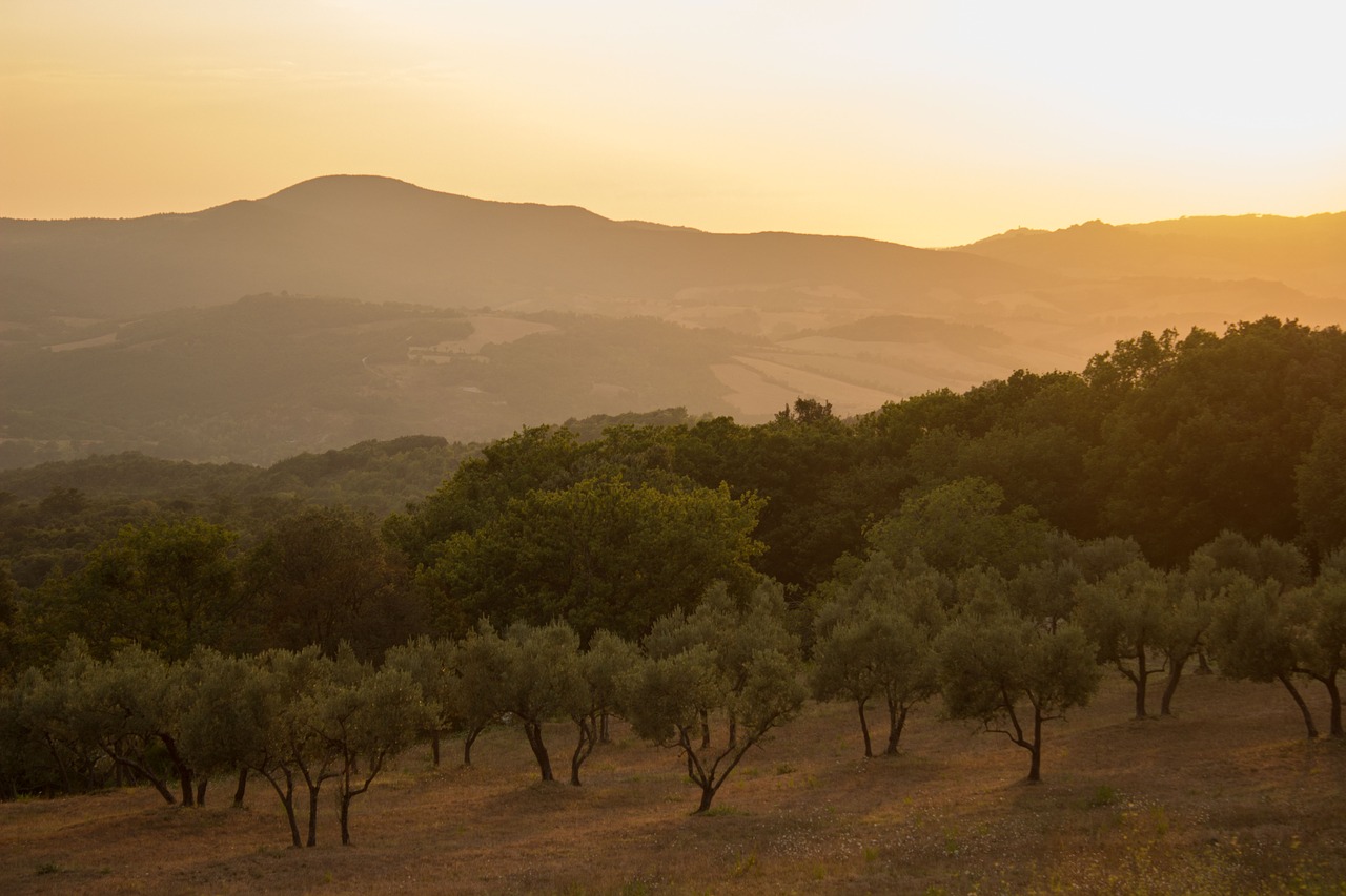 The Region Boasts A Huge Harvest of Olives and Table Grapes