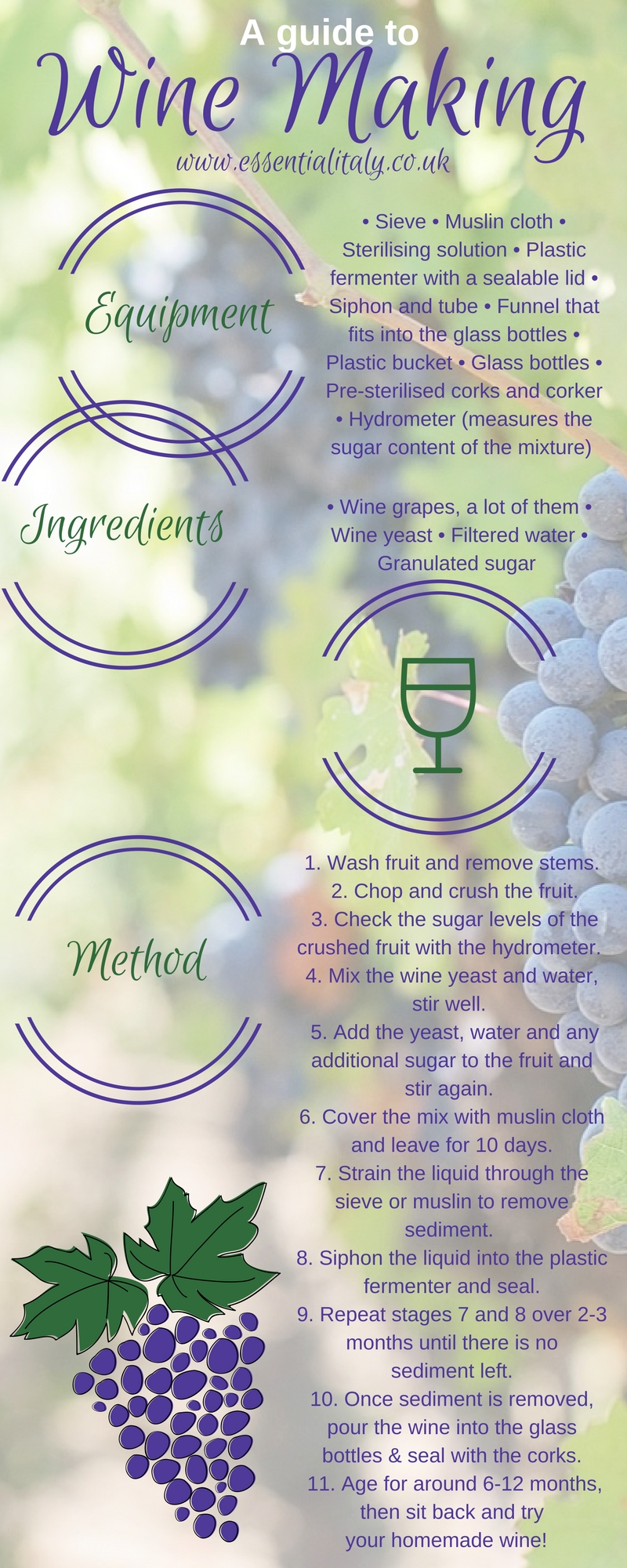 wine brewing guide