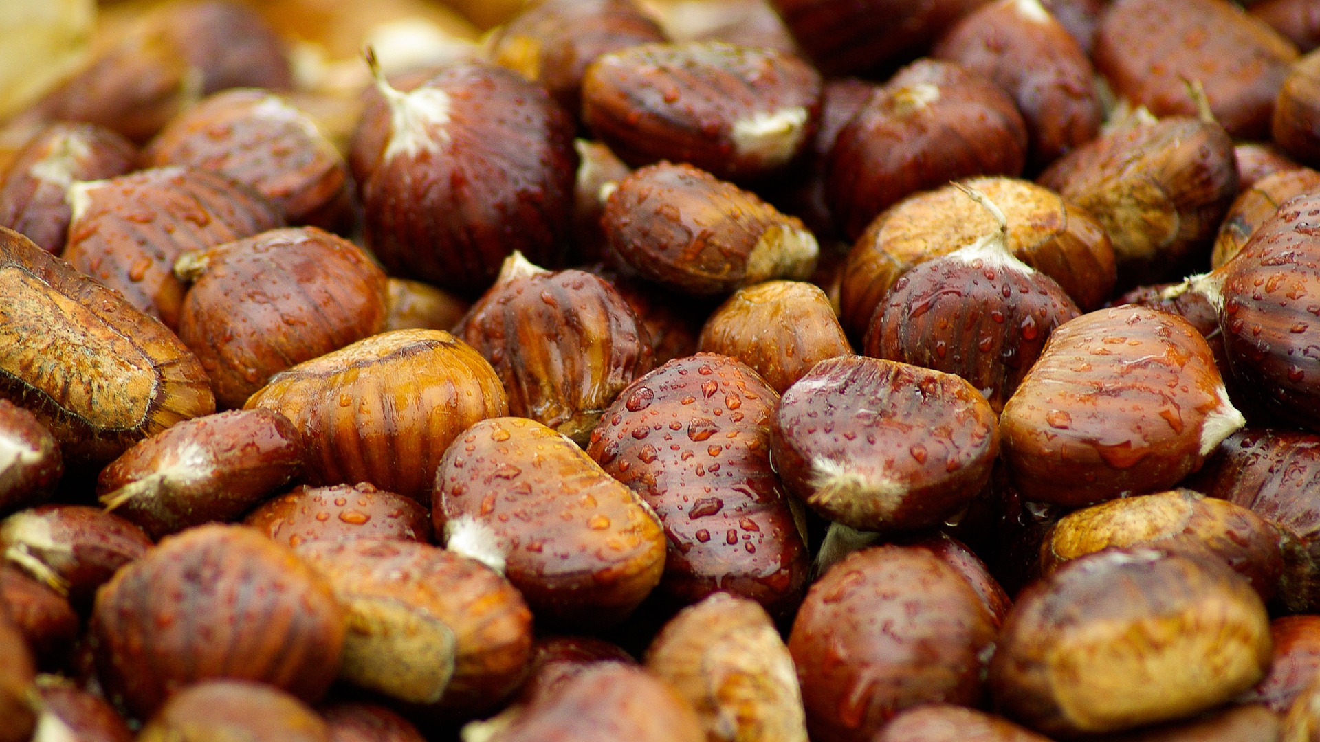 chestnuts with water droplets