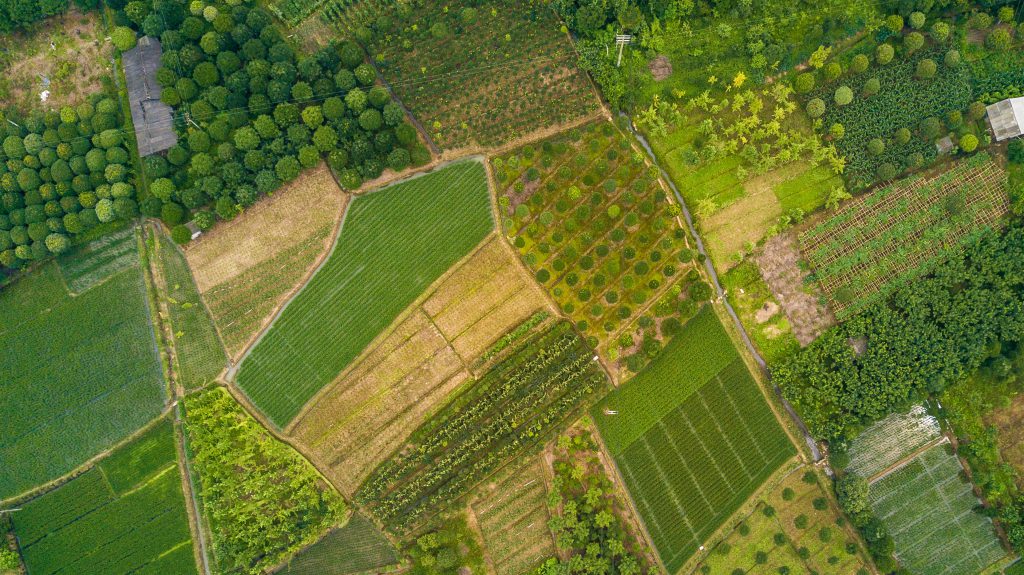 A set of green fields in Italy near Tuscany 