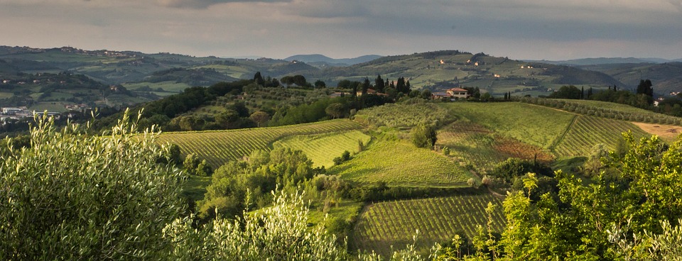 Fields in Tuscany