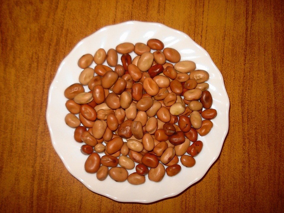 A plate of brown fava beans