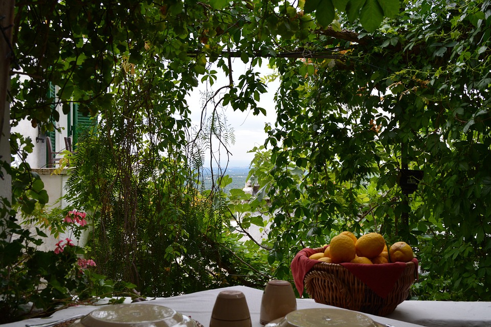 A restaurant table with citrus fruits in a garden in Ostuni, Puglia