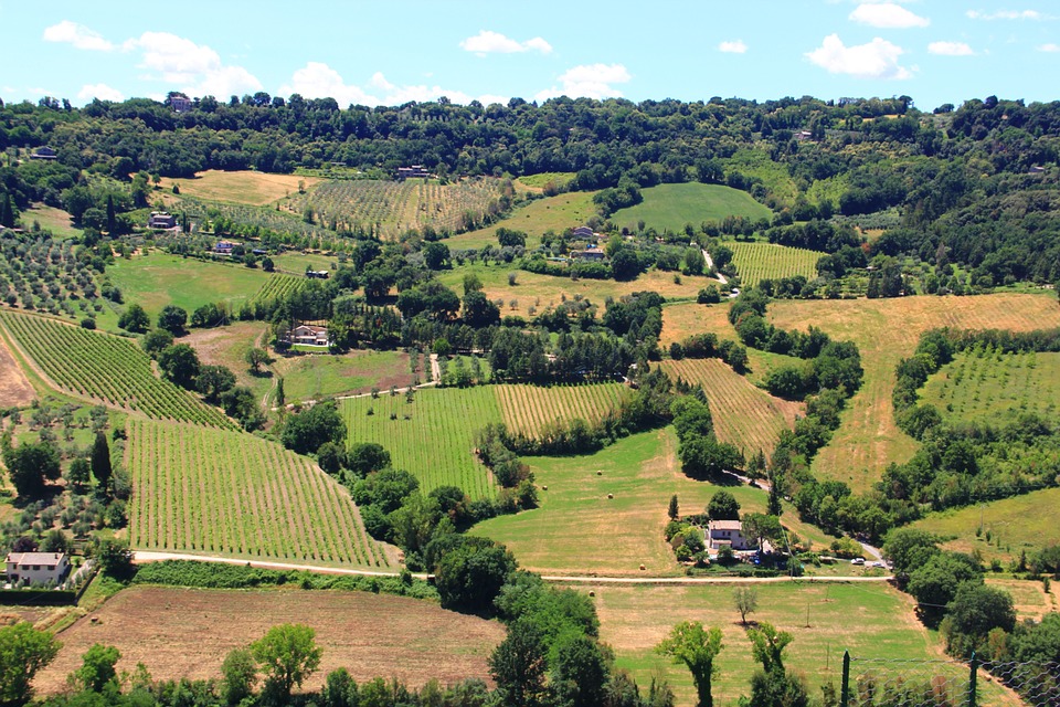 Umbrian countryside