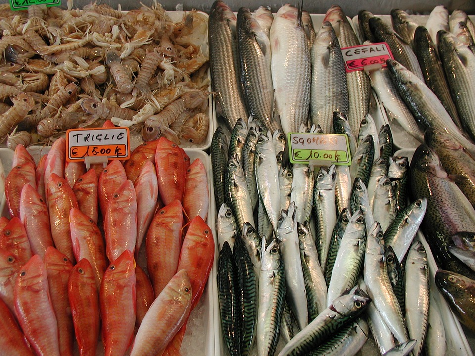 Fish for sale at a fish market in Italy