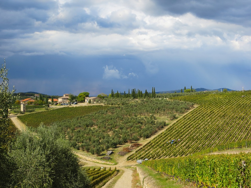 A Simple Guide to Tuscan Wines | Essential Italy