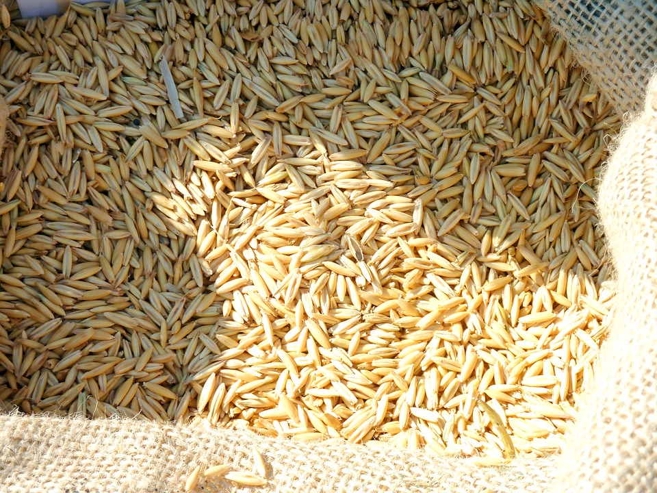 A bag of spelt grains in the sun