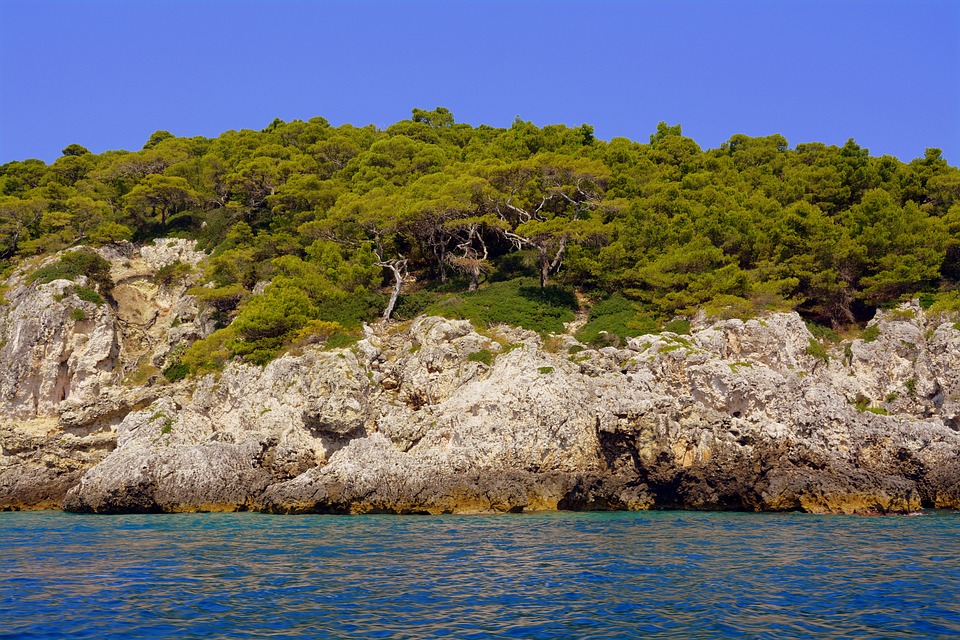 A forest in the Gargano National Park, Puglia