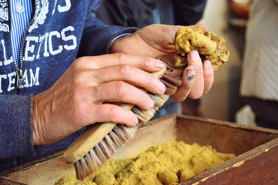 A man in a market in Italy preparing white truffles