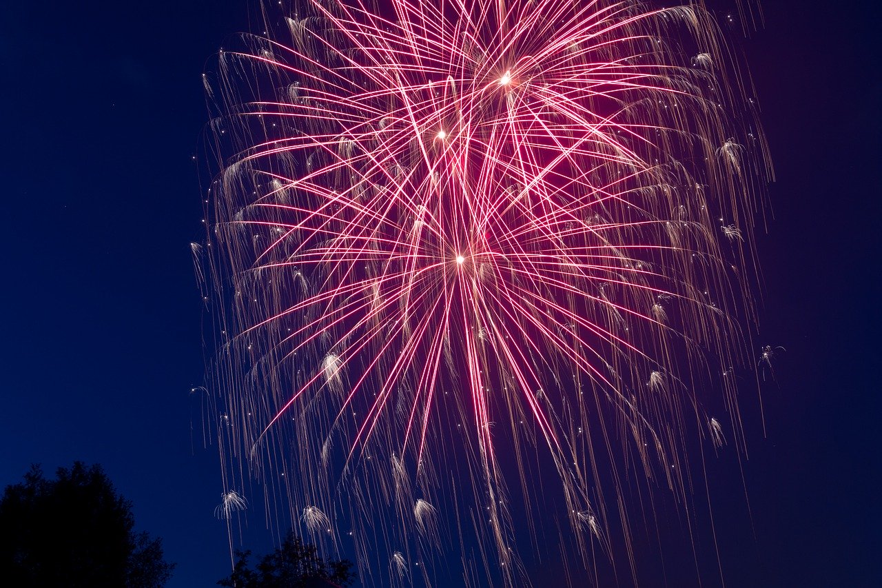 Pink fireworks in the evening sky. 