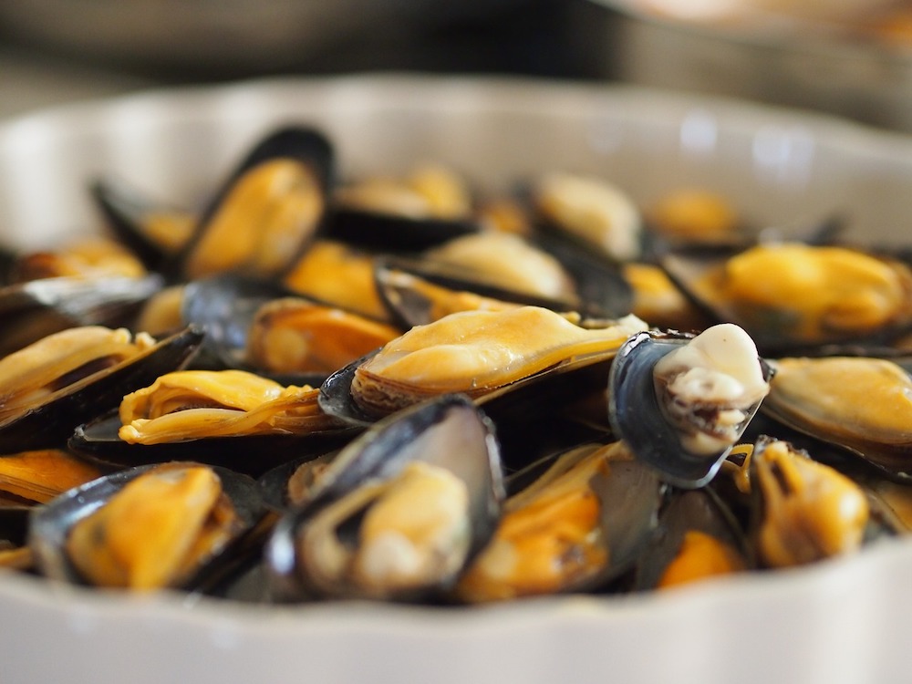 A close-up of some clams. 