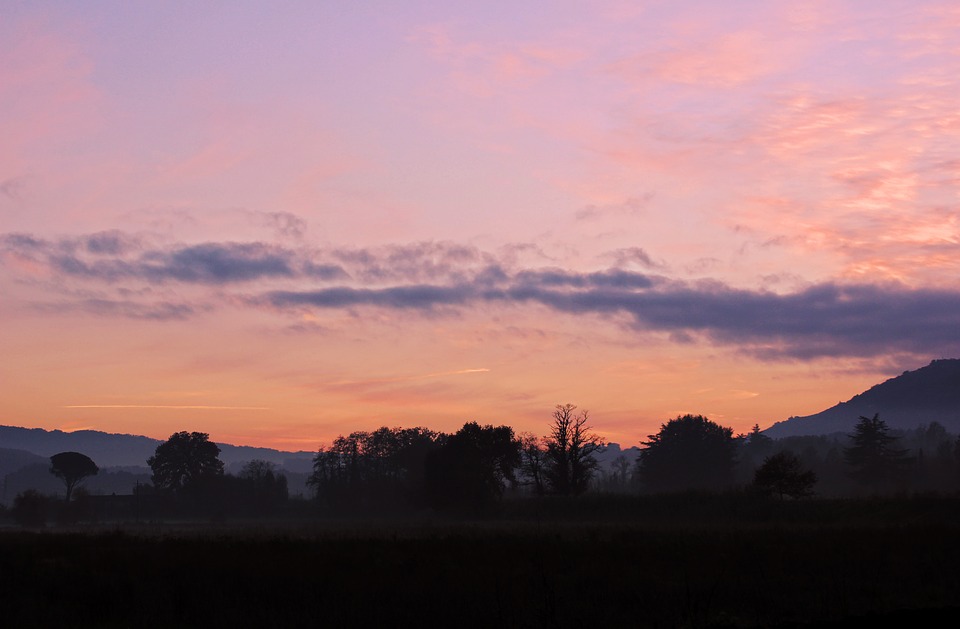 A silhouette of countryside trees during sunset in Tuscany