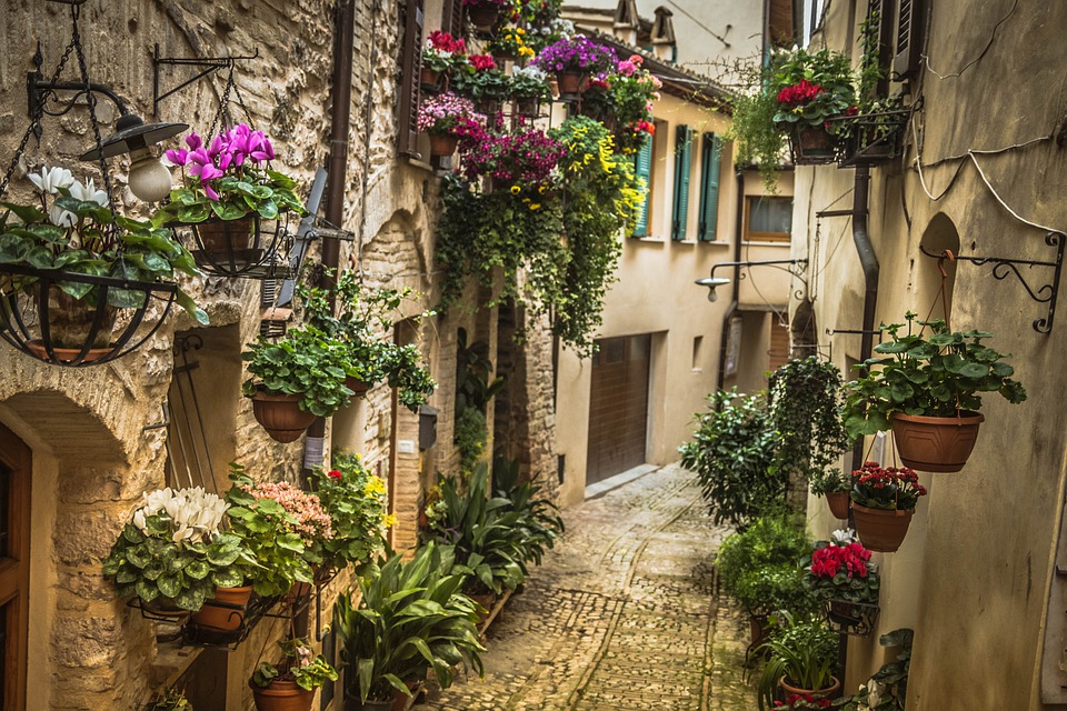 An old cobbled alley with house doors and hanging plants in Umbria, Italy