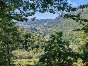 Metato Hills